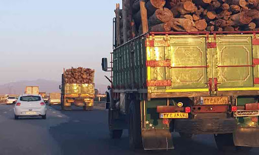 حمل چوب با کامیون به نوشهر